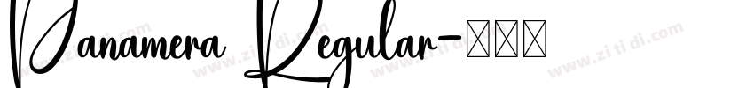 Panamera Regular字体转换